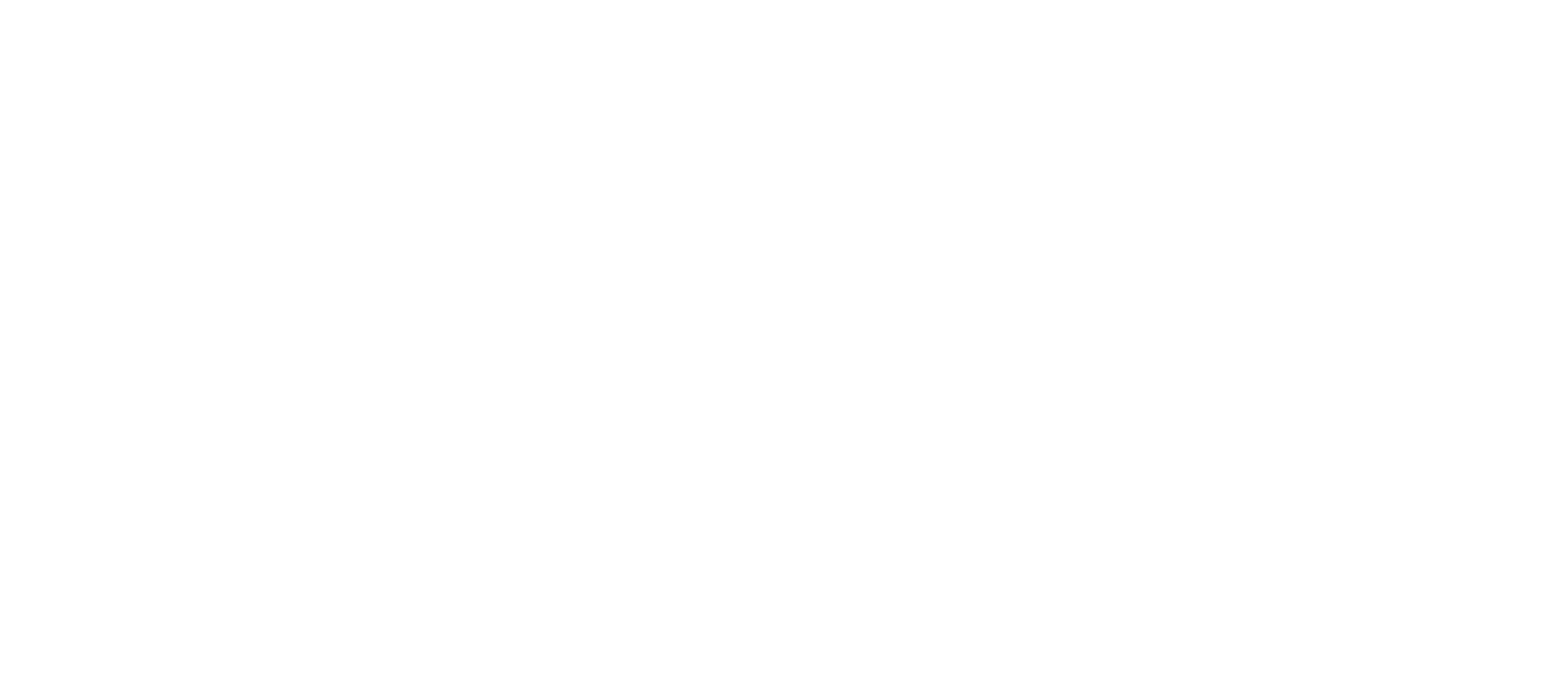 Effishent fly fishing logo